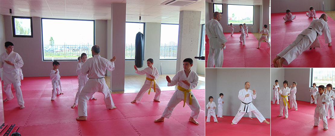 Архолл Арена karate